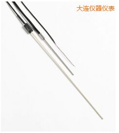 大連R 型和 S 型標準熱電偶