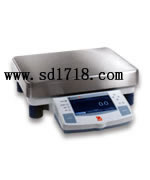 丹東工業(yè)天平,22000g,0.1g