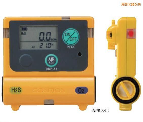 海西復(fù)合型氣體檢測器