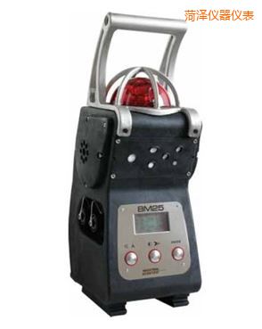 菏澤復(fù)合式氣體檢測儀