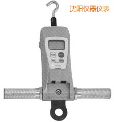 沈陽高荷重型 FGC-HB/FGN-HB 系列數(shù)顯推拉力計