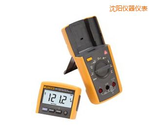 沈陽遠(yuǎn)程顯示數(shù)字萬(多)用表