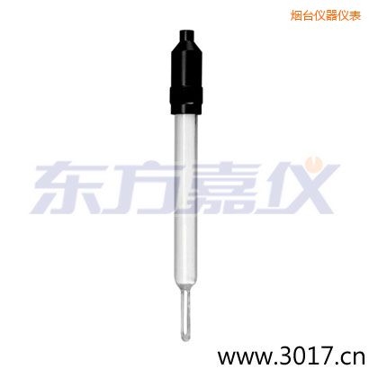 煙臺(tái)玻璃外殼無(wú)溫補(bǔ)兩線電導(dǎo)率電極