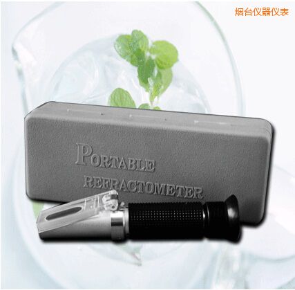 煙臺(tái)手持式食鹽/鹽度快速測(cè)定儀