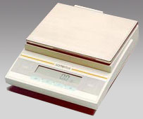 煙臺(tái)電子天平,3100g,0.1g