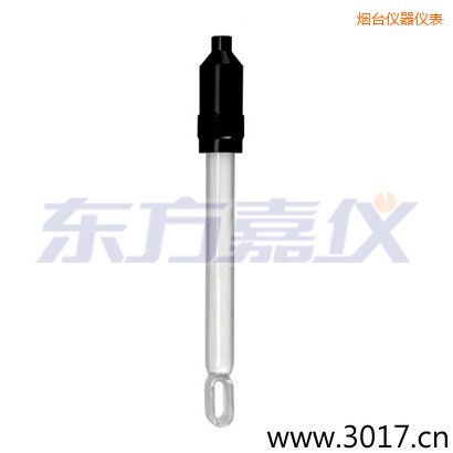 煙臺玻璃外殼無溫補兩線電導率電極