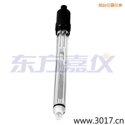 煙臺玻璃外殼鉑金環(huán)ORP電極