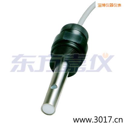 淄博含有溫度兩線電導(dǎo)率電極